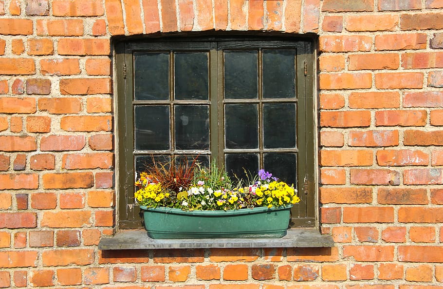 window, box, house, flowers, summer, decoration, building, exterior HD wallpaper