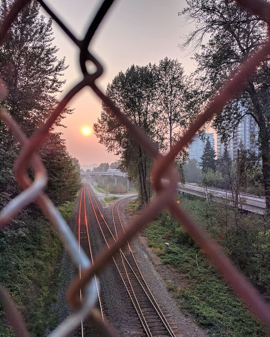 fence, tree, rail transportation, railroad track, protection HD wallpaper