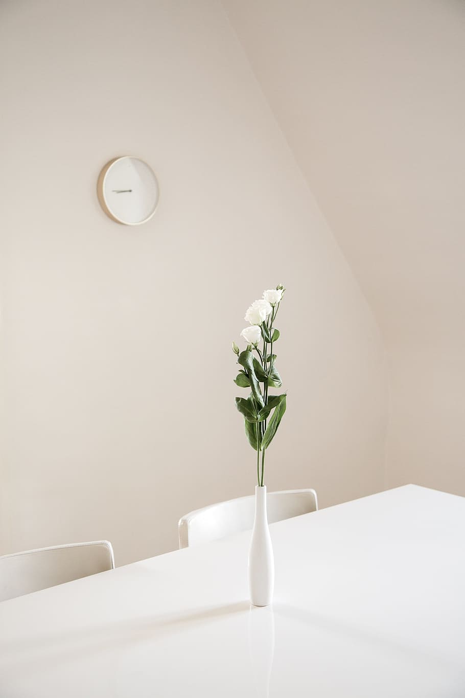 white flowers in white ceramic vase on top of white table, plant HD wallpaper