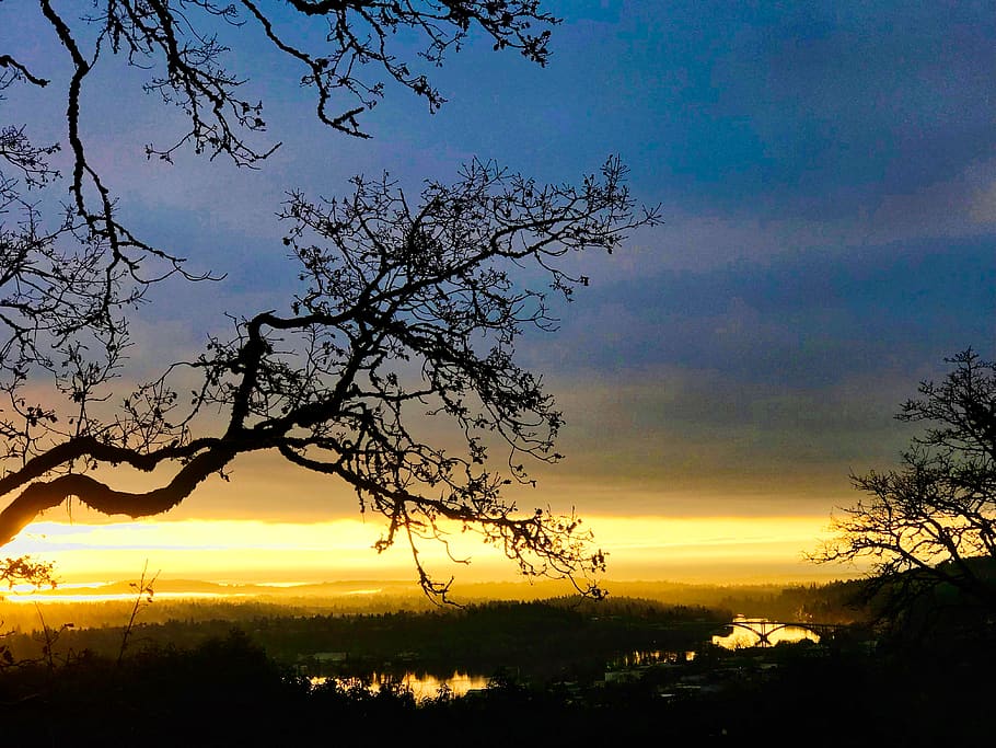 willamette river, sky, sunset, beauty in nature, tree, silhouette HD wallpaper