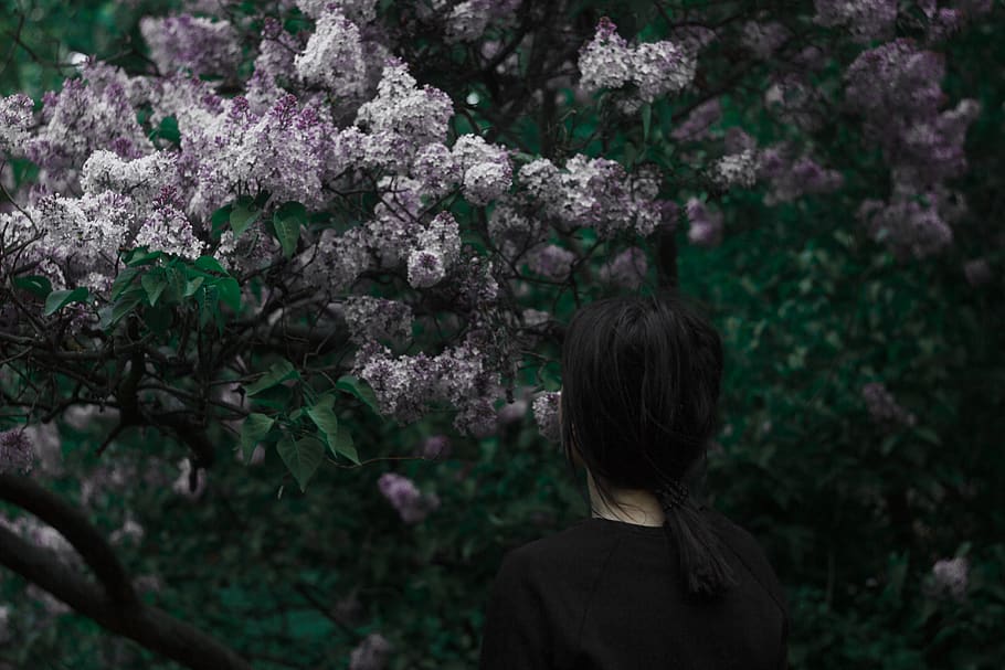 czechia, prague, faceless, violet, green, outside, girl, plant HD wallpaper