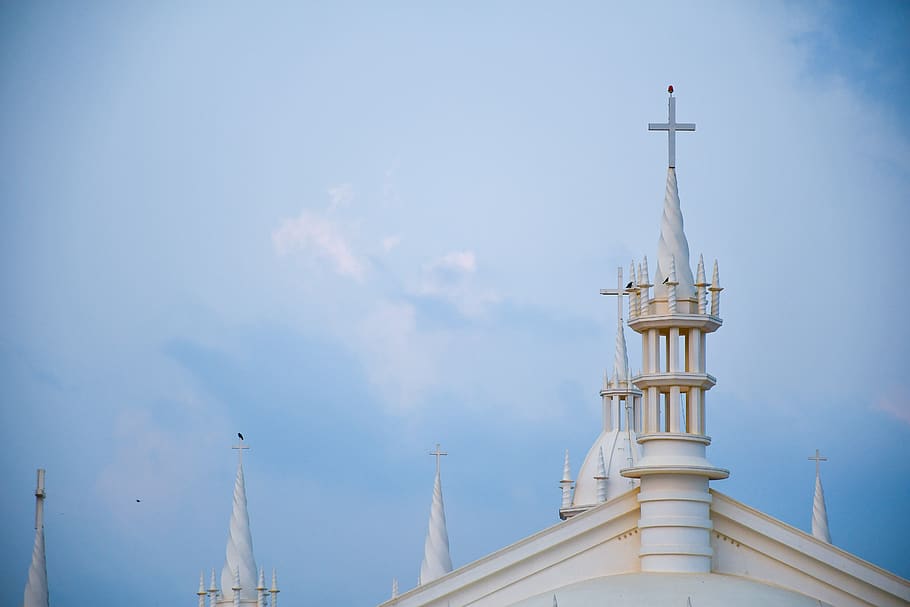 steeple, tower, building, spire, architecture, dome, animal HD wallpaper