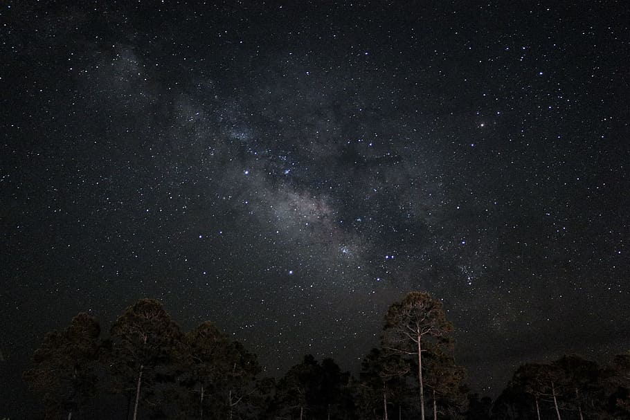 HD wallpaper: low angle photography of star at night time, sky by night ...