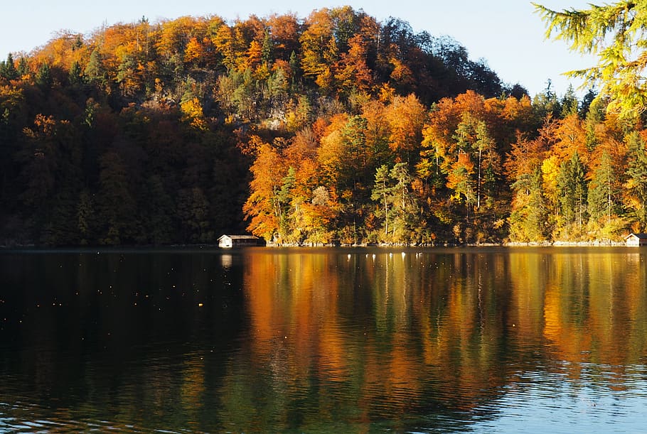 fall, forest, lake, water, reflection, colors, colorful, autumn HD wallpaper