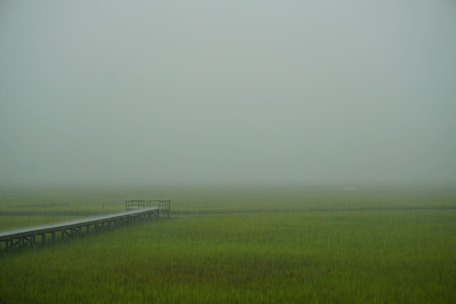 united states, wrightsville beach, pier, marsh, north carolina, HD wallpaper