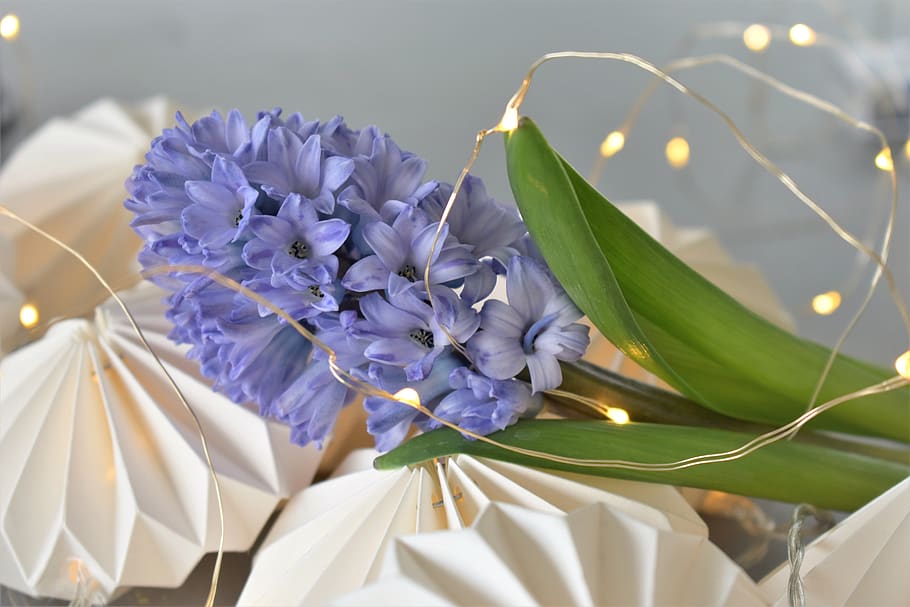 decoration, table decorations, candle, flowers, floral decorations HD wallpaper