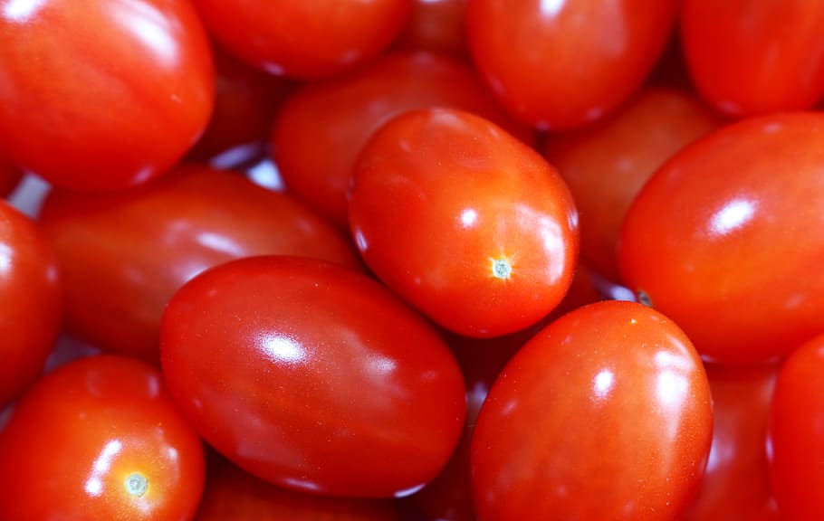 tomatoes, tomatos, red, small, cherry tomatoes, grape tomatoes HD wallpaper