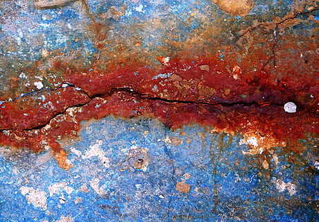 rust, plant, leaf, slate, tree, lock, maple, animal, invertebrate HD wallpaper