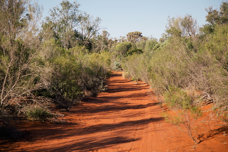 australia, bourke, red, outback australia, desert, red soil, HD wallpaper