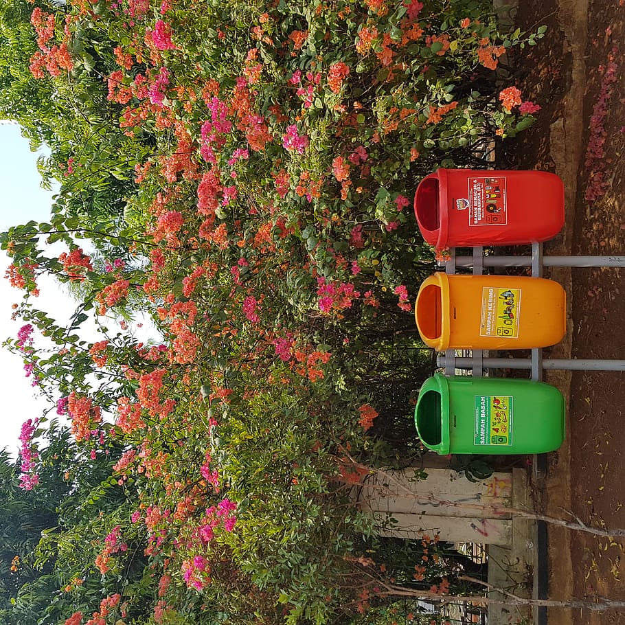 three assorted-color garbage cans, jakarta, indonesia, plant, HD wallpaper