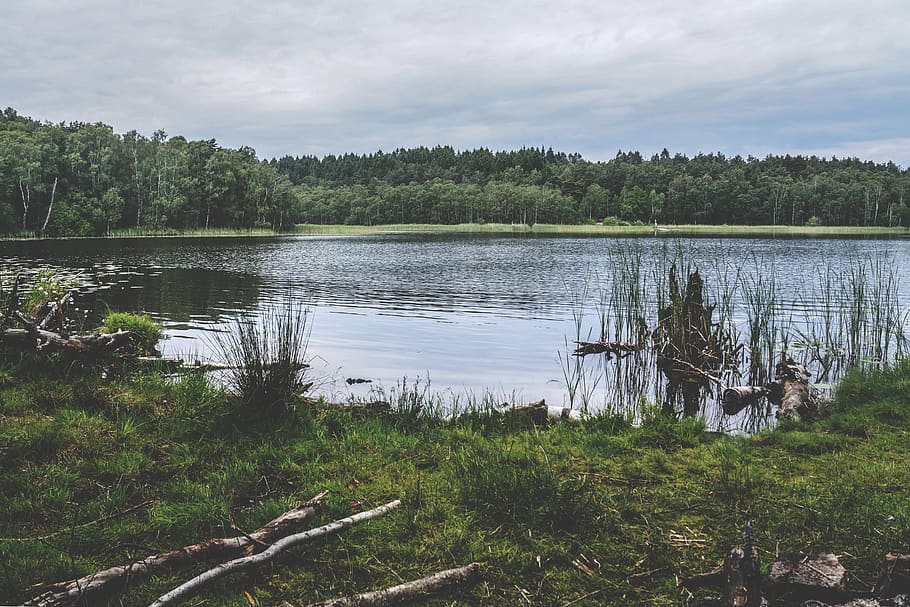 sweden, gothenburg, camping, tent, hipster, foggy, lake, sky, HD wallpaper