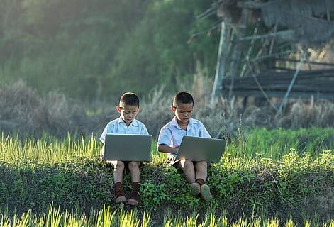 laptop, technology, kid, child, human, activity, computer, wireless technology HD wallpaper