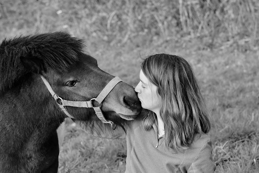 kisses, girl pony, tenderness affection, complicity, kiss pony
