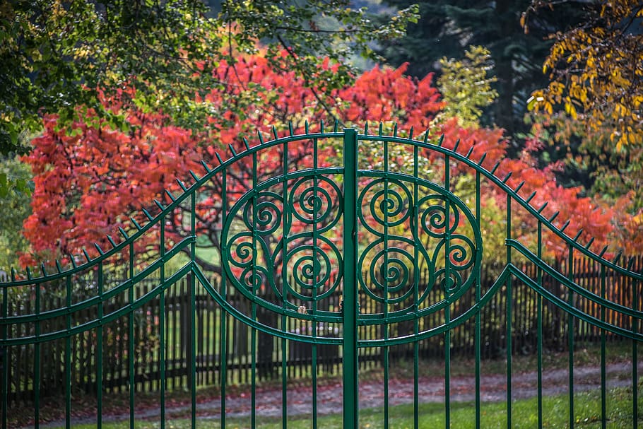 autumn, gate, rural, park, foliage, trees, historical, plant HD wallpaper