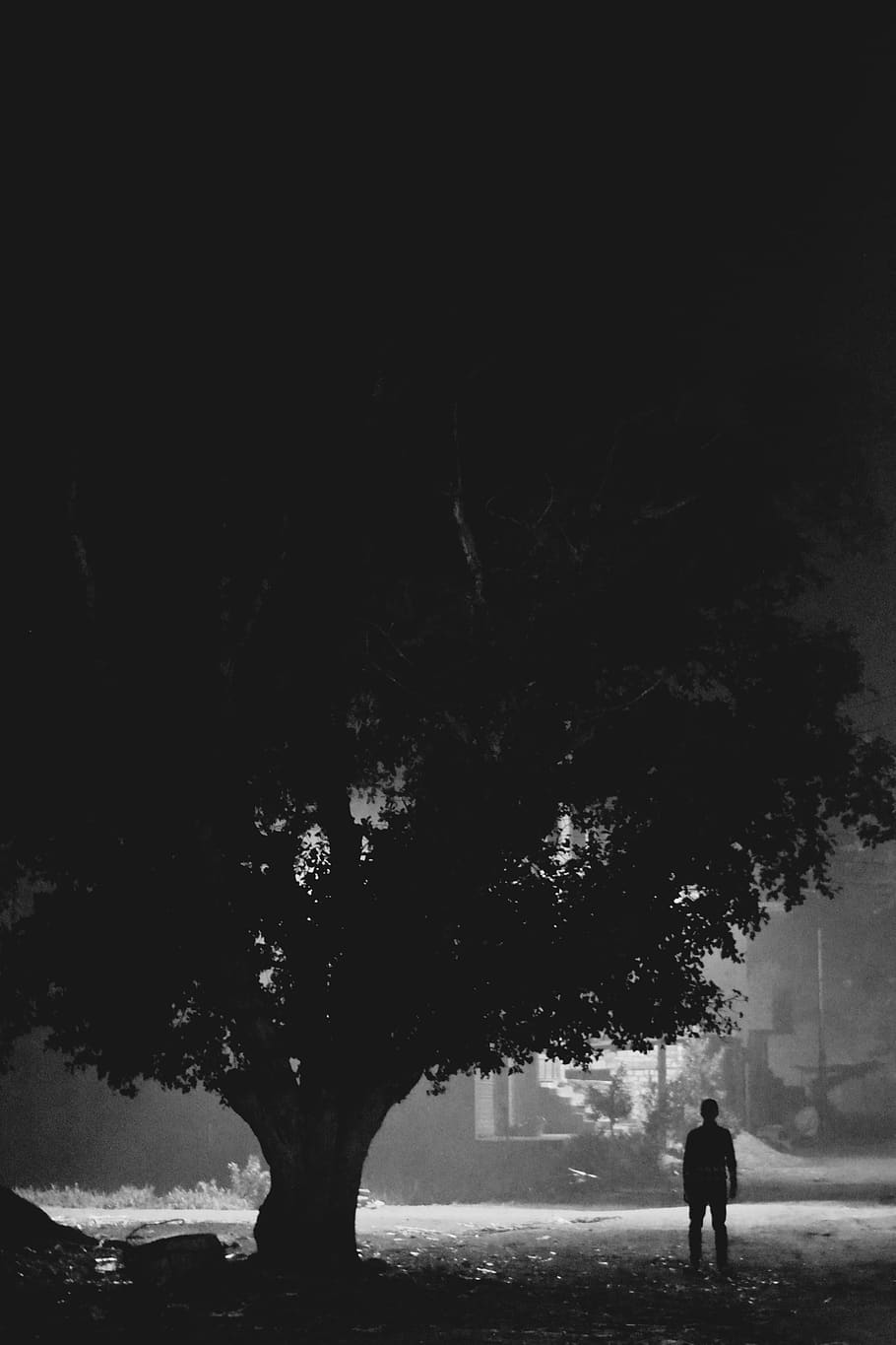 tree, child, man, dark, night, light, forest, blackandwhite HD wallpaper