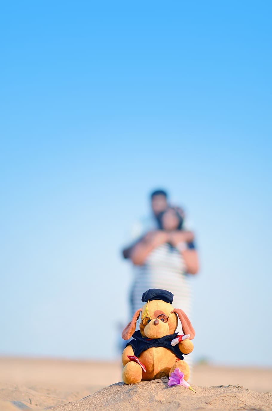 Brown and Black Animal Plush Toy, blur, couple, daytime, man HD wallpaper