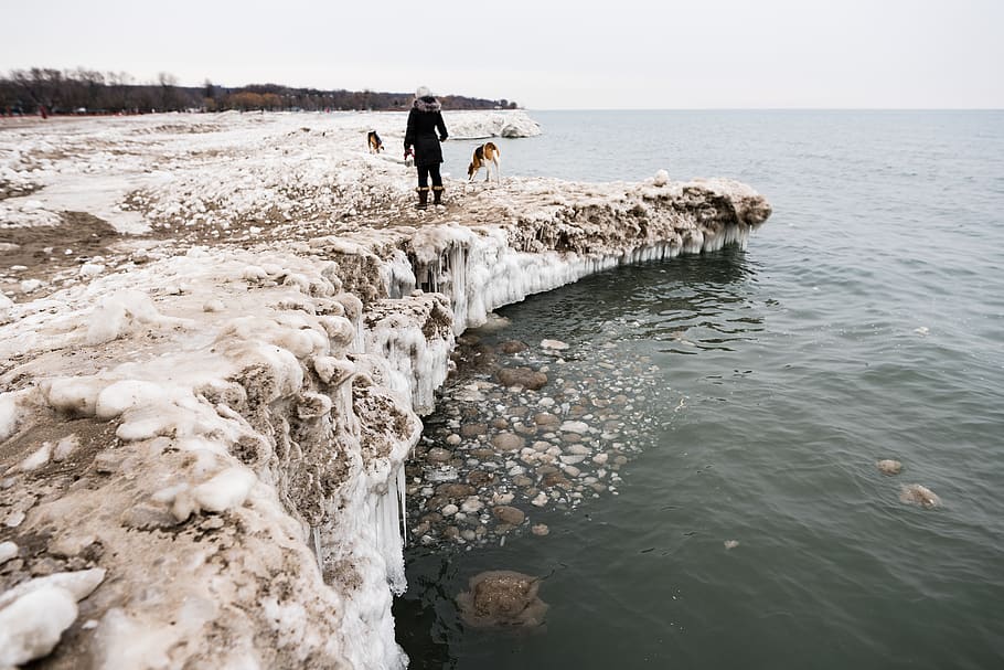 person standing on ledge, human, outdoors, nature, ice, animal HD wallpaper