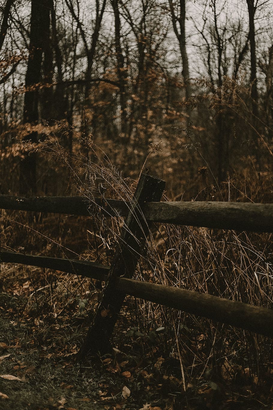 brown wooden fence, wire, barbed wire, winter, hiking, spooky, HD wallpaper