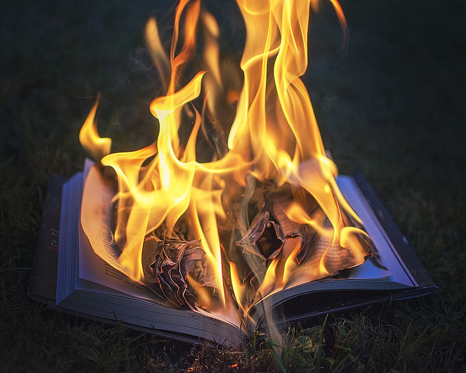 bible, fire, book, burning, flame, fire - natural phenomenon HD wallpaper