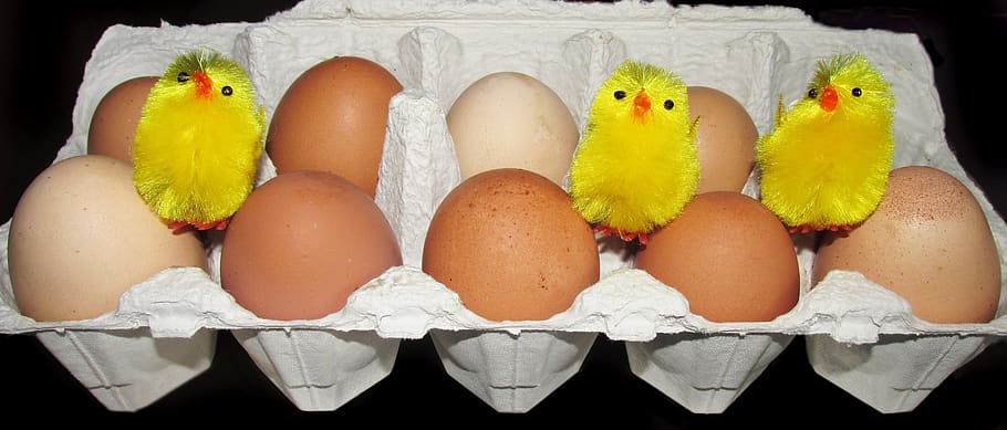 eggs, range, farm, chickens, poultry, food, food and drink HD wallpaper