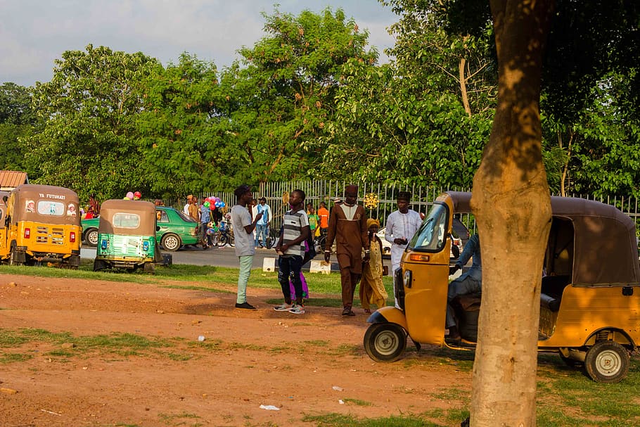 nigeria, abuja, tree, plant, transportation, land vehicle, mode of transportation HD wallpaper