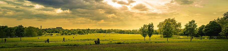 Green Grass Field during Sunset, city park, cloud, clouds, crop HD wallpaper