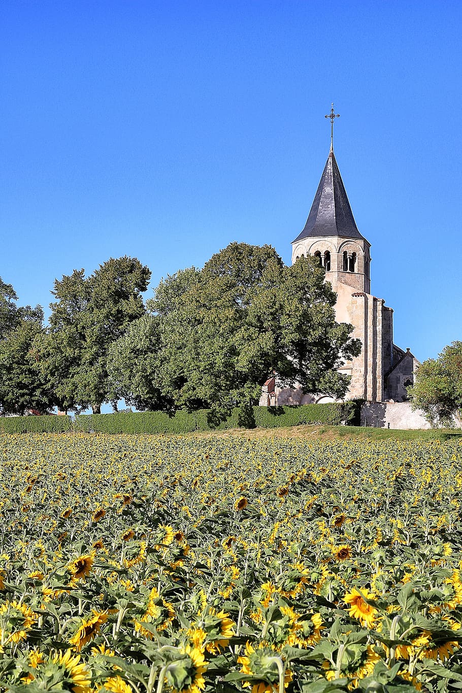 france, vichy, religion, built structure, architecture, plant HD wallpaper