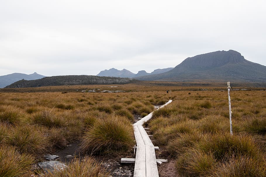 overland track, tasmania, hike, landscape, nature, outdoors, HD wallpaper