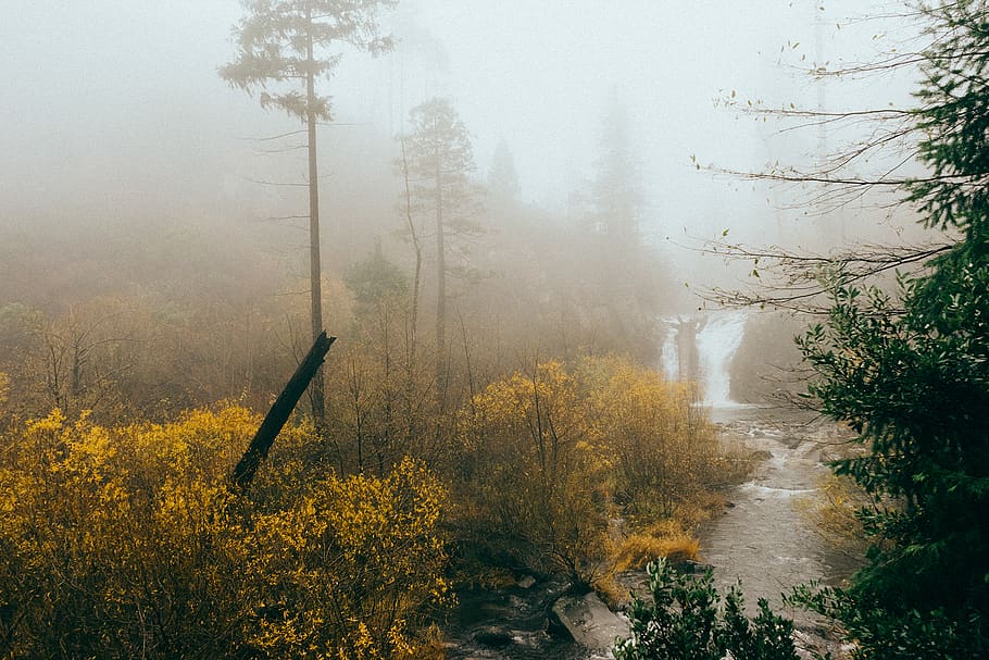 waterfall, river, stream, nature, woods, trees, bushes, foggy HD wallpaper