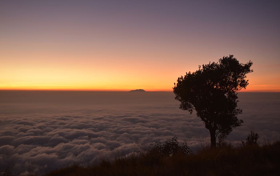 silhouette, sunrise, dawn, clouds, landscape, morning, hiking HD wallpaper