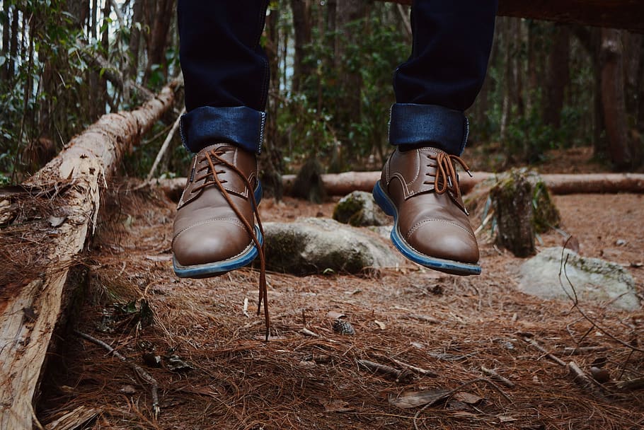 Photography of Person Wearing Brown Leather Shoes Near Brown Log on Green Forest during Daytime, HD wallpaper