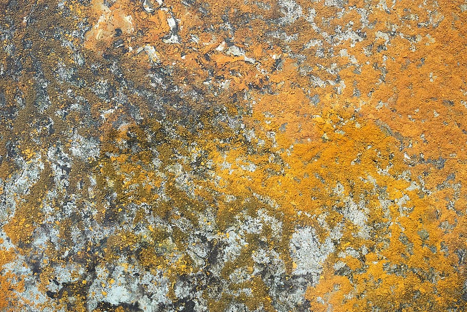 rust, pattern, orange, decay, structure, surface, wallpaper HD wallpaper
