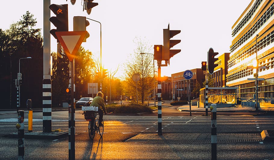 traffic light, road, human, person, bicycle, bike, vehicle HD wallpaper