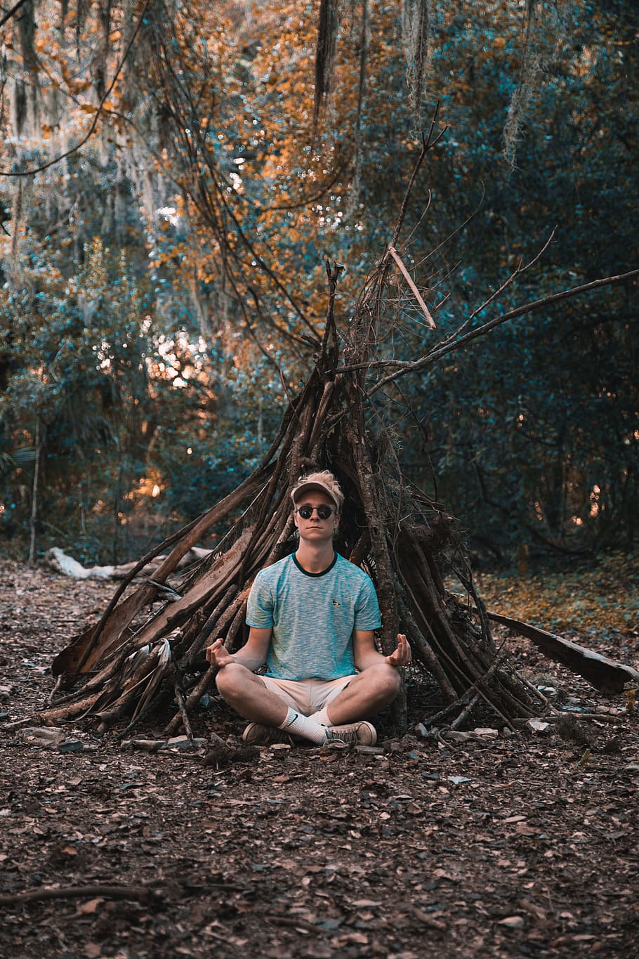 man meditating under trees, people, person, human, united states HD wallpaper