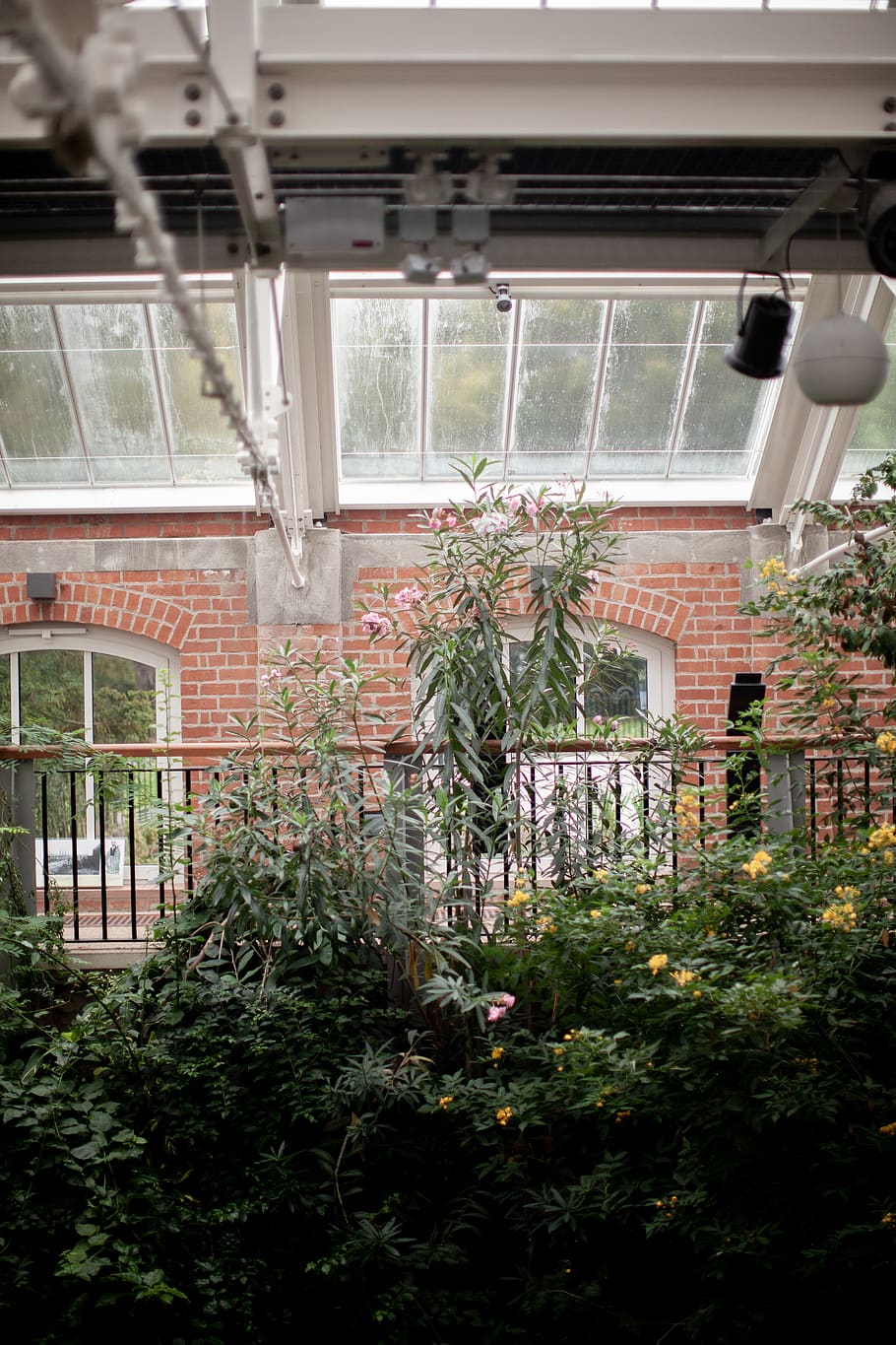green-leafed plants, window, railing, architecture, building HD wallpaper