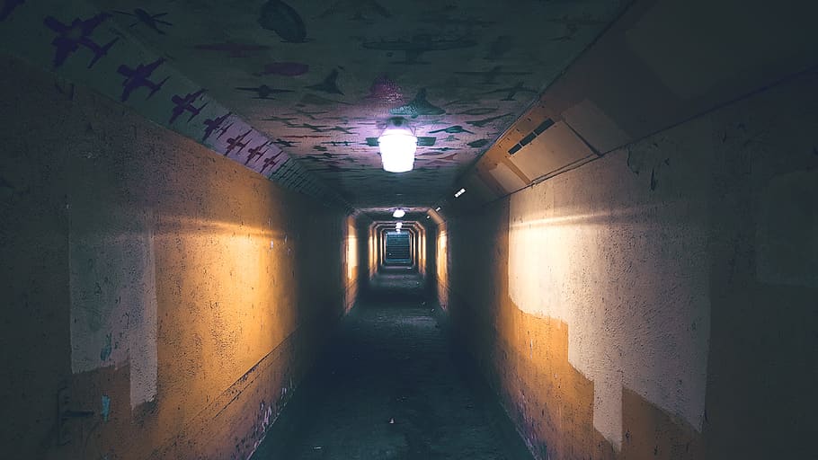 Lighted Hallway, abandoned, architecture, bright, building, dark HD wallpaper