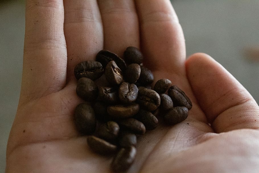 coffee, beans, coffee beans, chemex, hand, human hand, coffee - drink