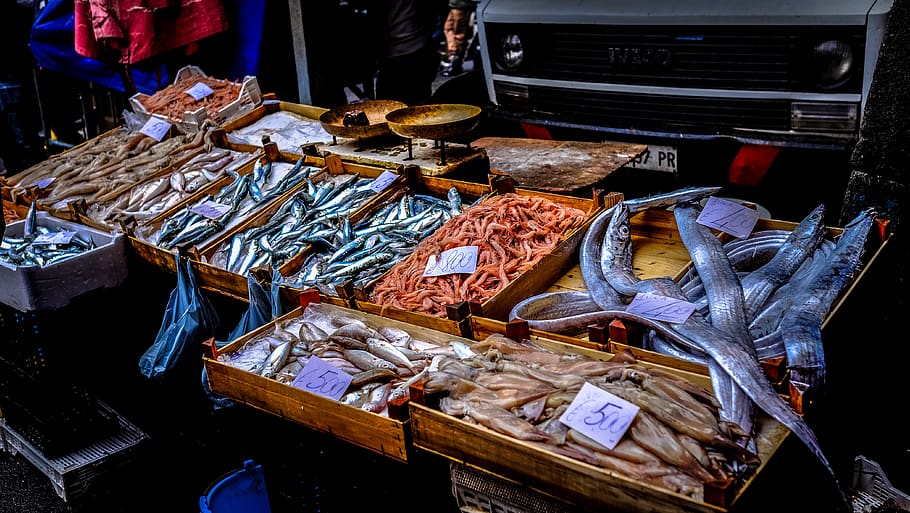 assorted fish display on market, food and drink, for sale, seafood HD wallpaper
