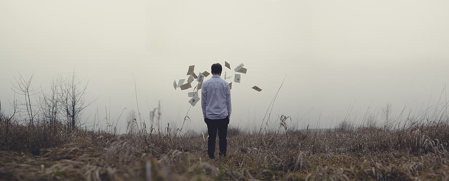 guy, man, papers, field, grass, fog, people, rear view, standing HD wallpaper