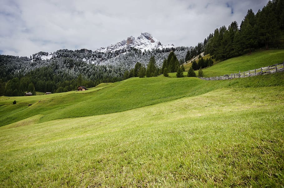 view, beautiful, nature, landscape, mountain, green, tree, grass HD wallpaper