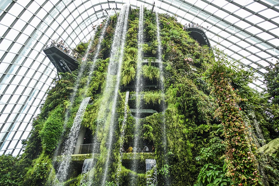 green leafed plants, cloud forest, building, singapore, waterfall HD wallpaper
