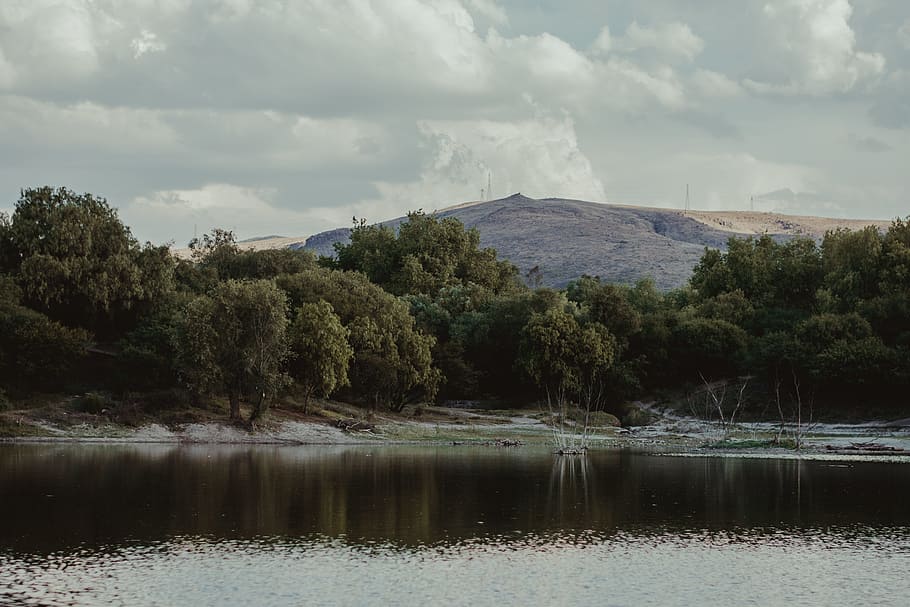 Body of Water Near Green Trees, clouds, cloudscape, daylight HD wallpaper