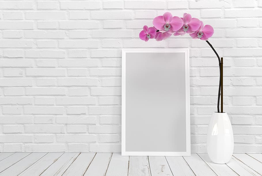 picture frame, flower, orchid, background, wall, photo, mockup, HD wallpaper