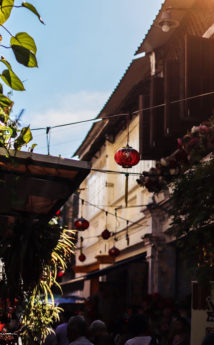 red lantern, person, human, bird, animal, lamp, plant, brick HD wallpaper