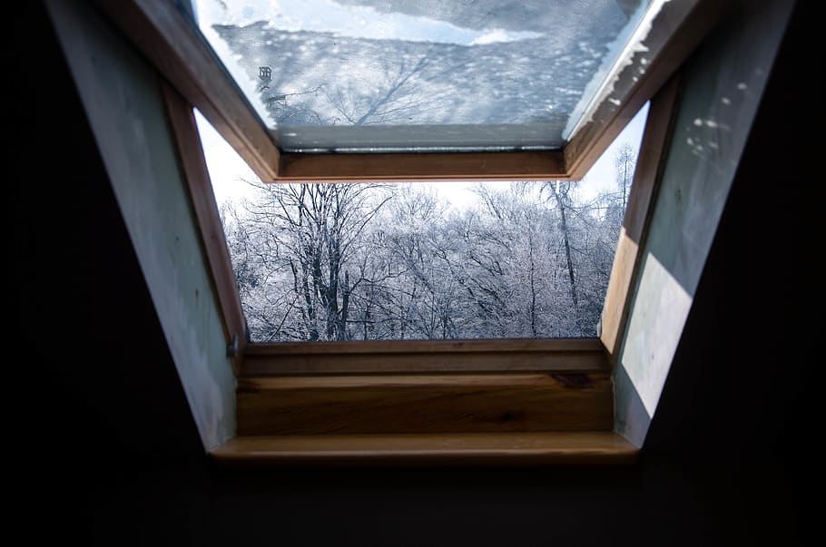 open window glass, glass - material, no people, indoors, tree HD wallpaper