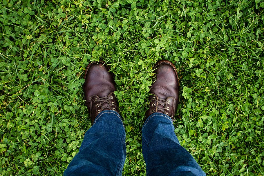 green, grass, jeans, denim, leather, shoe, travel, low section HD wallpaper