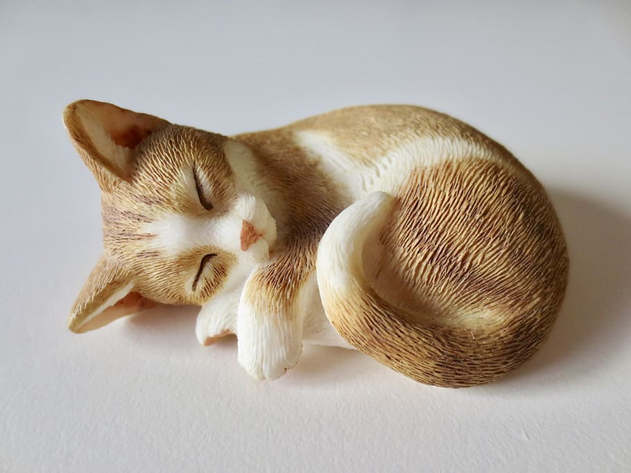 cat, object, nap, one animal, animal themes, mammal, pets, domestic HD wallpaper