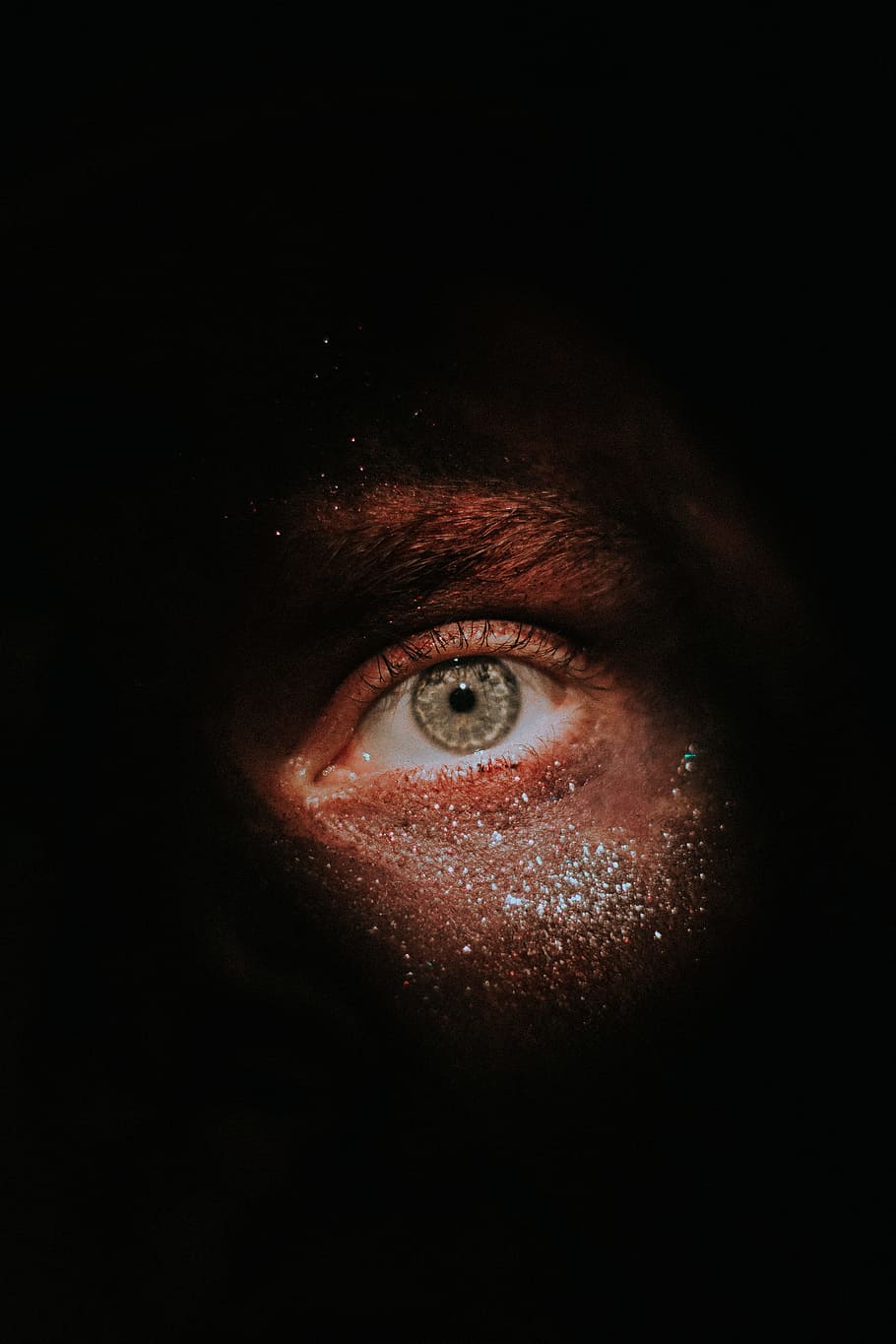 selective focus photography of man's eye, vision, macro, portrait HD wallpaper