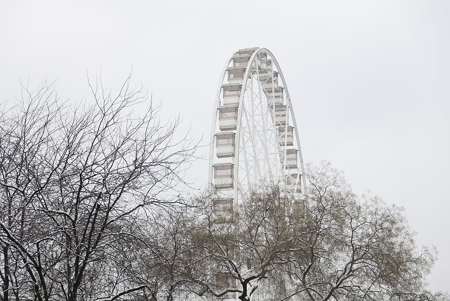 Ferris Wheel, branches, bright, carnival, city, daylight, daytime HD wallpaper