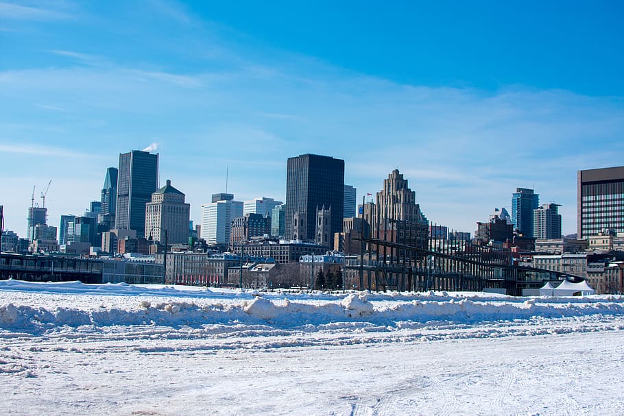 montreal, canada, winter, snow, building, day, city, skyscrappers HD wallpaper